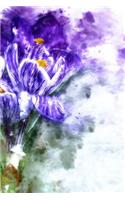 Crocus Notebook