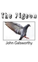 The Pigeon