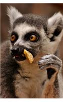 This Lemur Wonders Why People Complain About His Table Manners Journal: 150 page lined notebook/diary