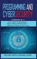 programming and cybersecurity