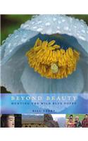 Beyond Beauty
