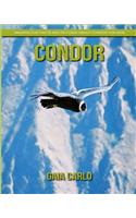 Condor