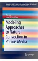 Modeling Approaches to Natural Convection in Porous Media