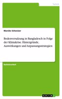 Bodenversalzung in Bangladesch in Folge der Klimakrise. Hintergründe, Auswirkungen und Anpassungsstrategien