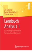 Lernbuch Analysis 1