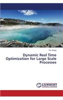 Dynamic Real Time Optimization for Large Scale Processes