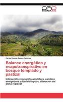 Balance Energetico y Evapotranspirativo En Bosque Templado y Pastizal