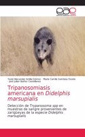 Tripanosomiasis americana en Didelphis marsupialis