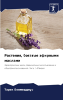 Растения, богатые эфирными маслами
