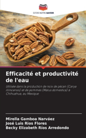 Efficacité et productivité de l'eau