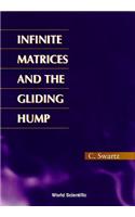 Infinite Matrices and the Gliding Hump, Matrix Methods in Analysis