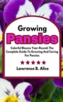 Growing Pansies