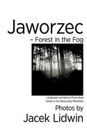 Jaworzec - Forest in the Fog: Landscape and Nature Photo Book(2 Moje / My Bieszczady)