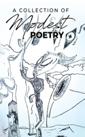 Collection of Modest Poetry