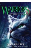A Dangerous Path