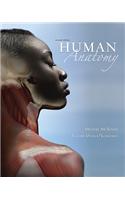 Human Anatomy