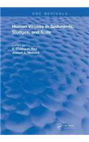 Human Viruses In Sediments Sludges & Soils