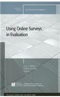 The Use of Online Surveys in Evaluation