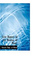 First Report of the Bureau of Mines