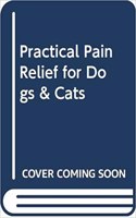 Practical Pain Relief for Dogs and Cats