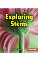 Exploring Stems