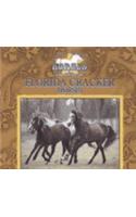 Florida Cracker Horses