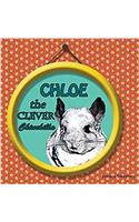 Chloe the Clever Chinchilla