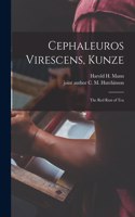 Cephaleuros Virescens, Kunze