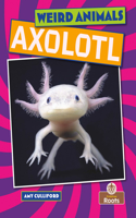 Axolotl