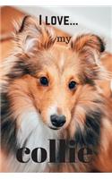 I Love my Collie: Lined Notebook / Journal. Ideal gift for the collie lover.