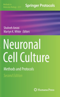 Neuronal Cell Culture