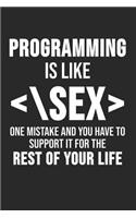 Programming Is Like One Mistake And You Have To Support It For The Rest Of Your Life