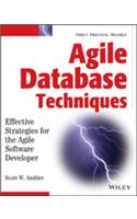 Agile Database Techniques