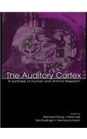 The Auditory Cortex
