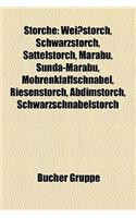 Storche: Weissstorch, Schwarzstorch, Sattelstorch, Marabu, Sunda-Marabu, Mohrenklaffschnabel, Riesenstorch, Abdimstorch, Schwarzschnabelstorch(German)