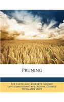 Pruning