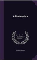 A First Algebra