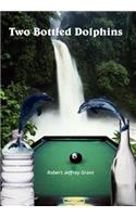 Two Bottled Dolphins