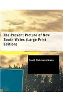 Present Picture of New South Wales