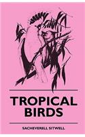 Tropical Birds