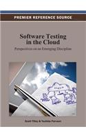 Software Testing in the Cloud