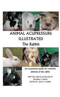 Animal Acupressure Illustrated The Rabbit