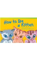 How to Be a Kitten