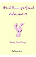Pink Bunny's Grand Adventure's