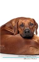 Rhodesian Ridgeback Affirmations Workbook Rhodesian Ridgeback Presents: Positive and Loving Affirmations Workbook. Includes: Mentoring Questions, Guidance, Supporting You.
