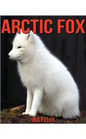 Arctic Fox