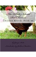 Rhode Island Red Chicken