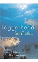 Loggerhead Sea Turtles