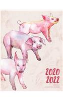 2020-2022 Three 3 Year Planner Watercolor Pig Piglets Monthly Calendar Gratitude Agenda Schedule Organizer
