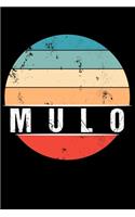 Mulo: 100 Pages 6 'x 9' -Dot Graph Paper Journal Manuscript - Planner - Scratchbook - Diary